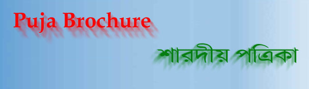 Durga_Brochure_top.jpg (19384 bytes)